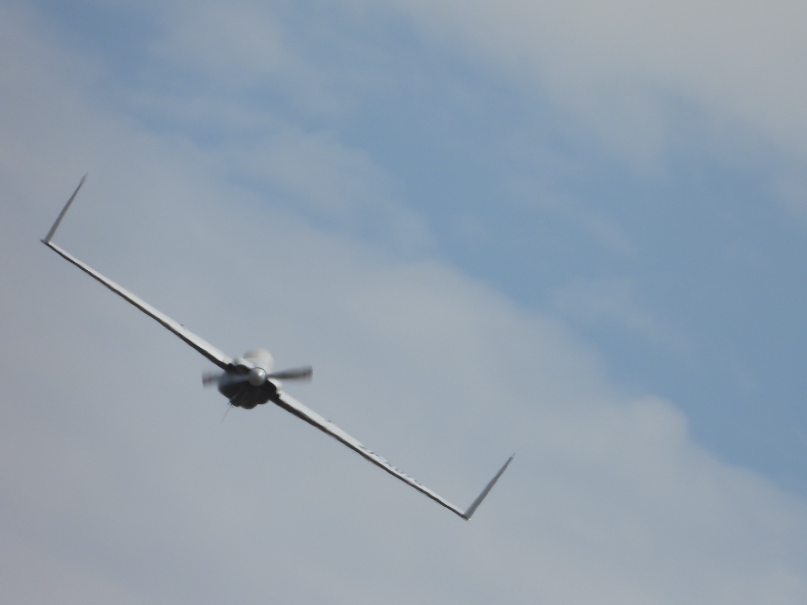 WhatsApp Image 2025-04-04 at 6.13.50 PM (2)